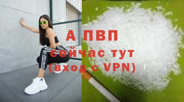 спиды Аркадак