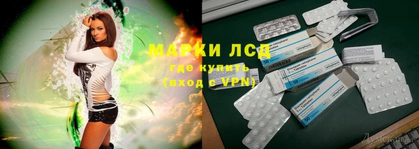 спиды Аркадак