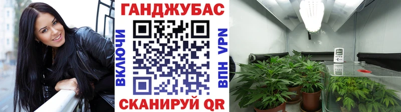 как найти наркотики  Асбест  Марихуана семена 